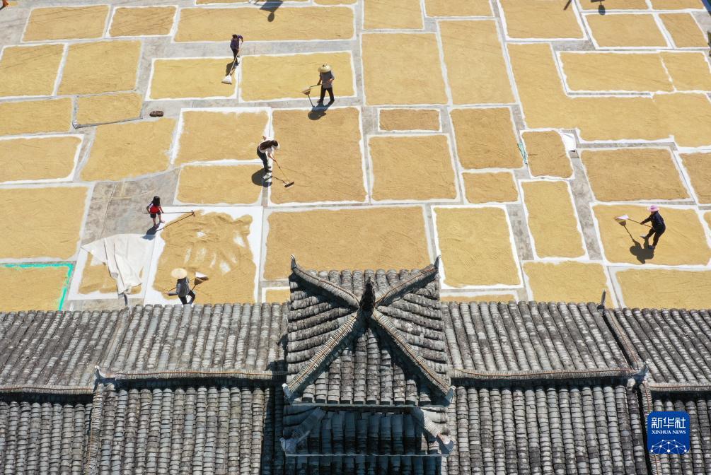 凯旋娱乐游戏官方最新版
